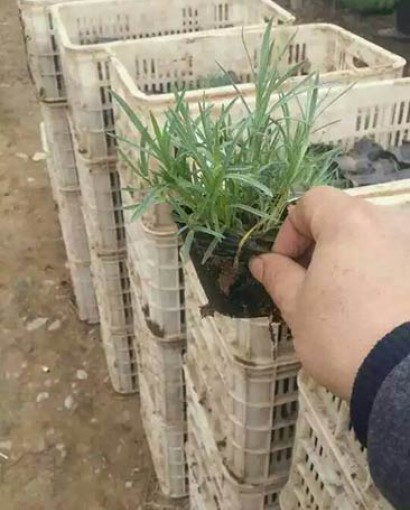 发货现场