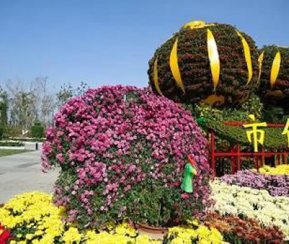 工程案例